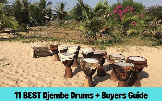 11 Best Djembe Drums with Buyers Guide