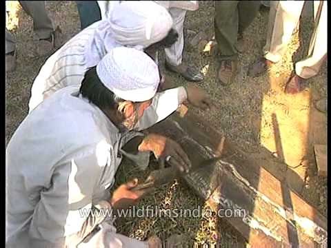 Islamic burial rituals