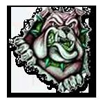 Virgin Valley High School - Roster