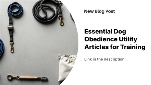 Quality equipment directly shapes dog training success, from properly fitted collars and appropriate leash lengths to high-value treats and clicker timing. Flat collars suit puppies, martingales work for dogs prone to slipping, and limited-slip collars offer precision control for advanced obedience work. Six-foot leashes provide standard training control, while longer lines teach reliable recall in open spaces, with leather lasting longer than nylon under consistent pressure. High-value soft tre