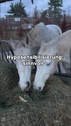 Hyposensibilisierung