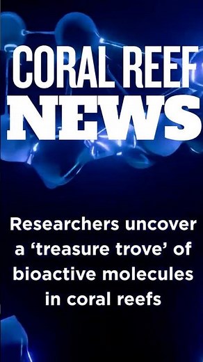 Coral Reef News: Researchers uncover a ‘treasure trove’ of bioactive molecules in coral reefs #coral
