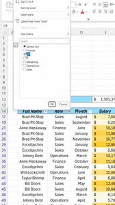 449K views · 1.8K reactions | How to filter data in excel #exeltrick #exceltipsandtricks #exceltrick #exceltutorials #exceltricks #ExcelTraining #excelhack #exceltips #scribe #Excel | LEARN MORE | Facebook