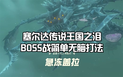 NS塞尔达传说王国之泪主线任务：BOSS战急冻盖拉简单无脑打法