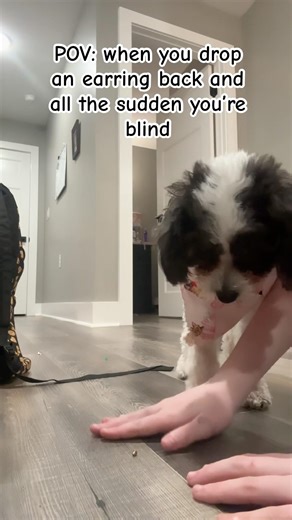 I just dropped one and can’t find it 😭 #jesuslovesyou #relatable #relator #laughtokeepfromcrying