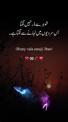 Funny Urdu Poetry: A Lighthearted Take