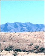 Afghan equines to receive aid - Horse & Hound