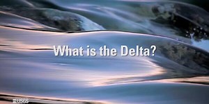 What is the Delta?