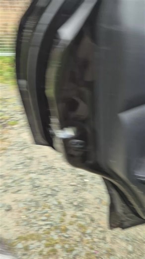 A safe place for a Husky to have a good run around!! #dogrunning #huskysoftiktok #Husky #huskylife #huskyfun