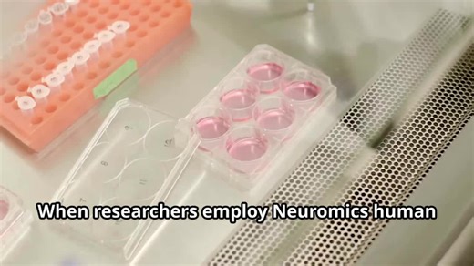 Taiwanese researchers use Neuromics CAFs to improve 3D ovarian tumor models | Neuromics posted on the topic | LinkedIn