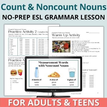 Beginner Adult ESL Count Grammar Worksheets and Lesson Plan Count Noncount Nouns