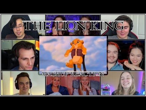 The Lion King Mashup Reaction | Youtube Version