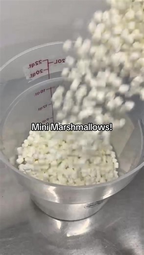 Delightful Fudge Flavors: Chocolate Pecan & More