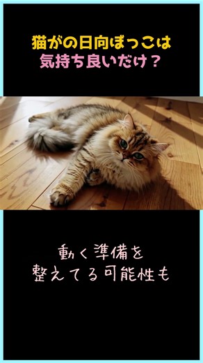 There's actually a reason why cats bask in the sun🌞