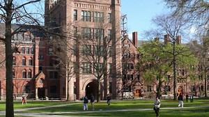 Marilynne Robinson’s, Gilead. John Steinbeck’s, East of Eden. William Faulkner’s, Absalom, Absalom! Only the tip of the iceberg of the Bible’s influence on literature! Northrop Frye, an influential literary scholar of the second half of the twentieth century, wrote: “The Bible should be taught so early and so thoroughly that it sinks straight to the bottom of the mind, where everything that comes along later can settle on it.” George Lindbeck, former professor of theology at Yale University, obs