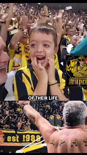 Greek American Sports on Instagram: "“The ARIS BC Fans”🟡⚫️ Best fans on Earth? 😱 The American basketball mind has never seen madness like this!🇬🇷 In Thessaloniki, basketball isn’t a game — it’s religion. The drums echo like war. The smoke rises like myth. And the crowd? A living, breathing heartbeat in yellow and black. They call them ARIS — born from fire, forged by passion. Where one man, Nikos Galis, turned a spark into a revolution. From the 80s to now, the flame never died — it only gre