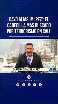 Alias ‘Mi Pez’ Captured: The Feared Leader of the Dagoberto Ramos Column