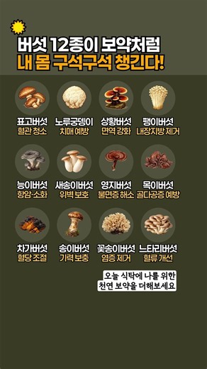 버섯 12종이 보약처럼 내 몸 구석구석 챙긴다! #버섯효능 #건강정보