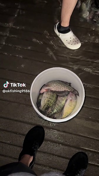 Another great crappie run #ok #fishing #fyp #bestfriend #oklahoma #crappiefishing