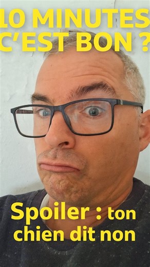 Nos chiens en folie on Instagram: "Beaucoup de chiens “détruisent tout” simplement parce qu’ils passent leurs journées à s’ennuyer pendant qu’on coche la case “sortie faite” avec un tour du quartier en laisse ultra courte. Un chien a besoin de renifler, d’explorer, de réfléchir, de gérer ses émotions pour être vraiment fatigué, pas juste de trottiner 300 mètres chrono. Regarde la vidéo jusqu’au bout, fais honnêtement le calcul du temps de balade par jour et dis-moi en commentaire si ton chien vi