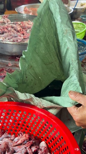 Shanya Green| Entrepreneur•Mom•Chef on Instagram: "I love me a fried frog drum! Hello! So how y’all eat y’all’s???? What do you think the frog be thinking as he see the other frogs leave the bag ANDDDD WHY TF HE POPPED IT LIKE THT 🫣🫣🫣🥴🥴 #lashesindanang #froglegs #eatingfrog #cookingvideo #asiancusine #asianeats #travelingwhileblack #foodie #tallahasseeeats #privatechef #summervillefoodie #tallyeats #exploringtheworld #bizzarefoods #tampafoodie"