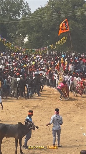VTK | Kuppam Times on Instagram: "Bull Fest 💥 . . . #sankranti #sankrantispecial #bull #kuppam #explorepage✨"