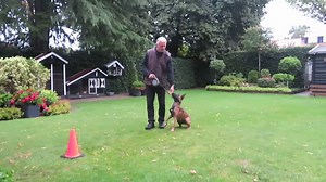 1.6M views · 49K reactions | First Steps in Retrieving with Dana In...