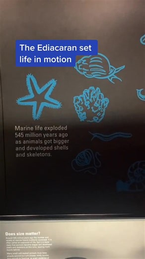 Let’s sing the Geologic Time Song Natural History Museum London edition! #funfacts #science #paleontology #dinosaurs #travel #evolution | Tommy-Lee Blake | Facebook