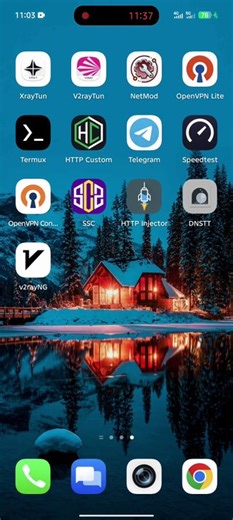 Arjienx - Multiplex Panel Tutorial :  DNSTT + V2ray + OVPN + SSH