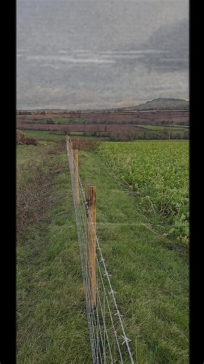 Splitting fields for grazing #keepchasingthedream #protechevocompact #stockfencing #farmfencing #farmfencing
