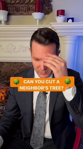 Property Line Disputes: Legal Tips for Tree Ownership