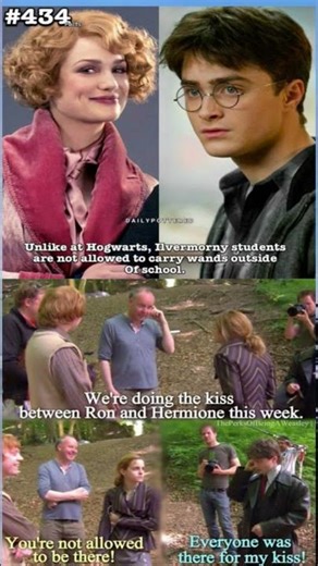 image is a fan-made collage featuring "fun facts #harrypotter #meme #hagrid #harrypottertrivia