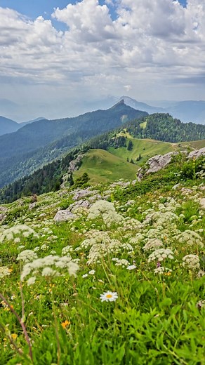 Hugo Lamotte on Instagram: "📍Charmant Som par les chalets Distance : 3km Dénivelé : 200m Temps : 1h ACCÈS VOITURE : Entre Le Sappey-en-Chartreuse et St-Pierre-de-Chartreuse, monter au Col de Porte. De là, tourner sur la droite (panneau les 3 sommets) et poursuivre la route jusqu’aux Chalets de Charmant Som (1669m). À partir des Chalets de Charmant Som, le sentier s’élève à l’est (panneau indicateur). Il atteint rapidement une ligne de crête, la suivre nord-nord-est jusqu’au sommet. De là-haut, 