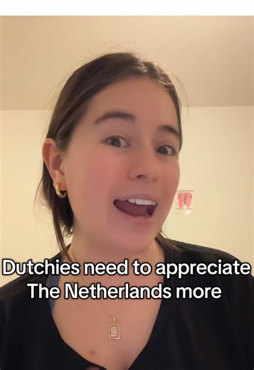 Any one else notice how the Dutch often forget in what way the Netherlands is doing great? Just a friendly reminder to not take it for granted🙈🫶🏼 #netherlands #dutch #amsterdam #internationalstudent #american #robjetten #immigrant #ov #gratitude #thankful