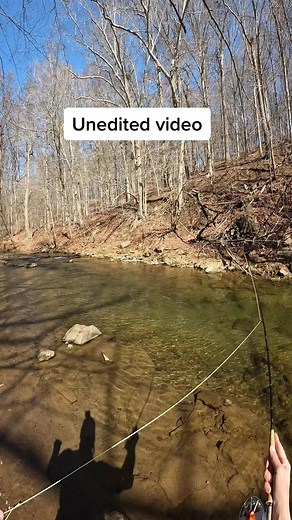 Mastering Dry Dropper Technique in Fly Fishing