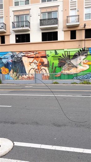 2.2K views · 24 reactions | Happy Earth Month!  Learn how our Zero Emission buses are contributing to healthier East Bay communities actransit.org/zeb 來 | AC Transit | Facebook