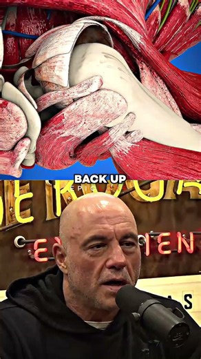 Can Any Offer Pull Crawford Back In 🥊