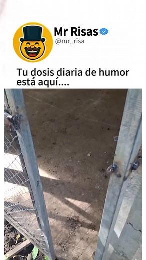 Sigueme para mas🤣🤣@mr__risa #Fails #Sustos #VideosGraciosos #ContenidoDivertido #HumorLatino #ParaTi #ParaTiPage #FYP #VideosVirales #Explora #NoLoViVenir #EpicFail #ReelDeRisa | MRr Isas