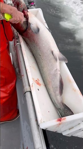 So Fresh You can Taste it!!