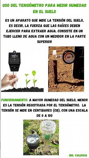 Using a tensiometer to measure soil moisture 🌱🧑‍🌾 #agronomy #agriculture