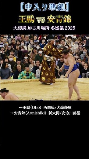 【中入り取組】王鵬 vs 安青錦❗大相撲 加古川場所 冬巡業 Sumo