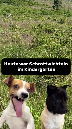 flachwitze_extreme (@flachwitze_extreme)’s videos with original sound - flachwitze_extreme