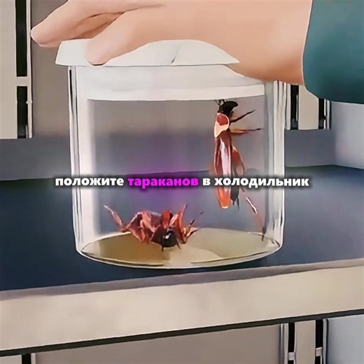 Comprehensive Movie Reviews and Recommendations