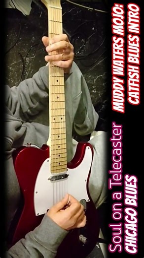 Catfish Blues (Muddy Waters) - Electric Guitar Riff