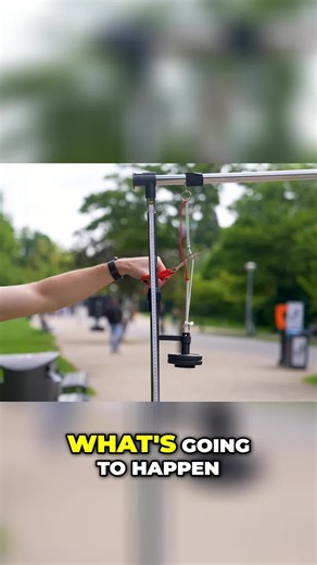 FactFuel | What happens when you cut the rope? A surprising twist defies expectations. Did you predict the outcome? 🤔 #PhysicsFun #RopeCutting... | Instagram