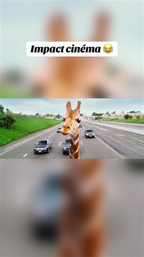 Subscribe for more fun😂😂😂 #frenchcontent #learnfrench #francais #viralvideo #movietok