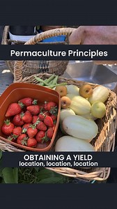 11K views · 157 reactions | The 12 Permaculture Principles are design...