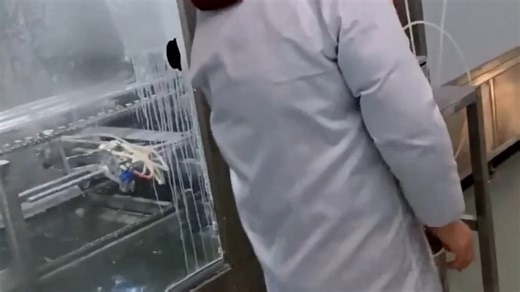 LED灯带价格战背后，赢家都在拼什么？