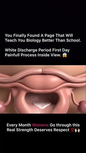 Respect Women’s Strength 💪 | What Happens on the First Day of Period (3D Animation)