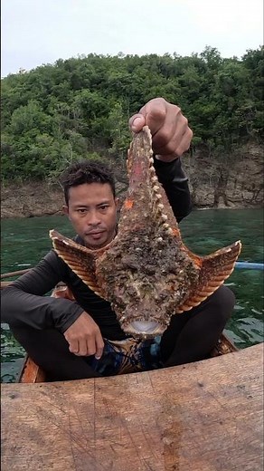 Cleaning & Frying Giant StoneFish! 🔥